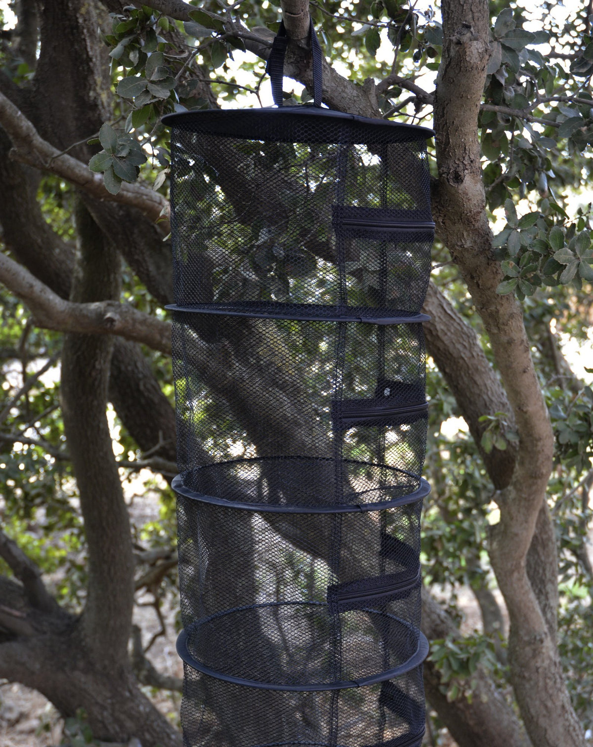 Mini 12" 4-Level Hanging Dry Net – Compact Drying Rack for Plants & Herbs